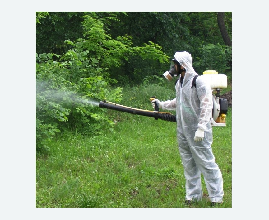 обработка дачи от клещей обработка территории от клещей в Тобольске