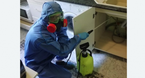 Уничтожение муравьев в квартире. Тобольск