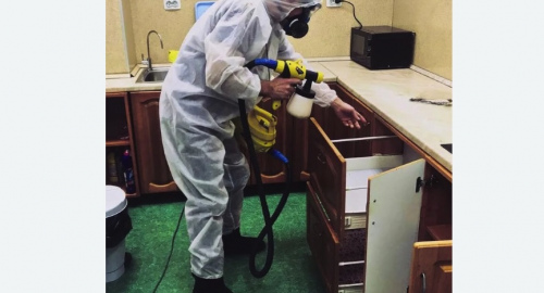 Уничтожение насекомых в квартире. Тобольск