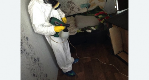 Обработка квартир от насекомых в Тобольске