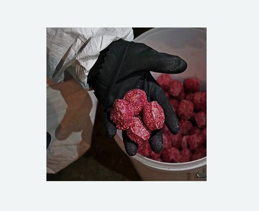 Обработка от крыс в Тобольске