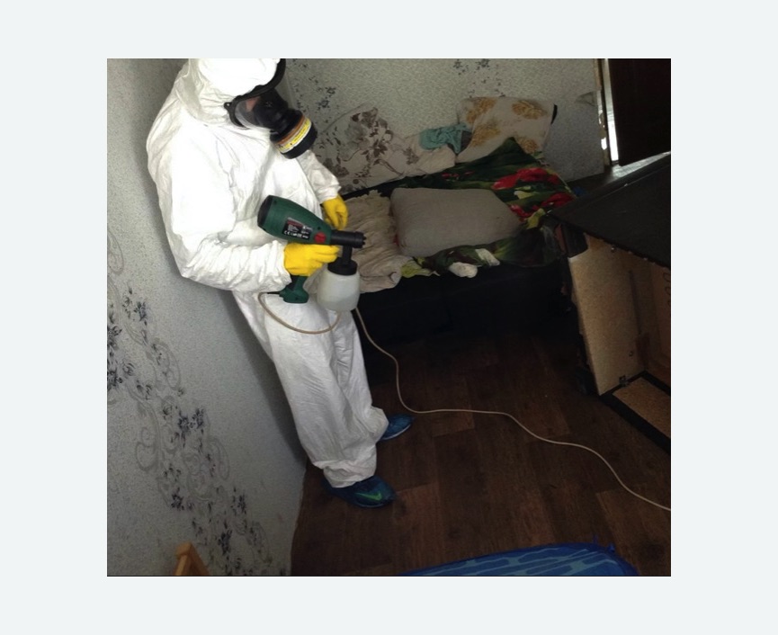 Обработка от насекомых в Тобольске Обработка квартиры от насекомых