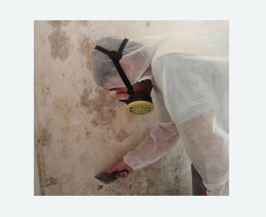 Обработка стен от плесени в Тобольске