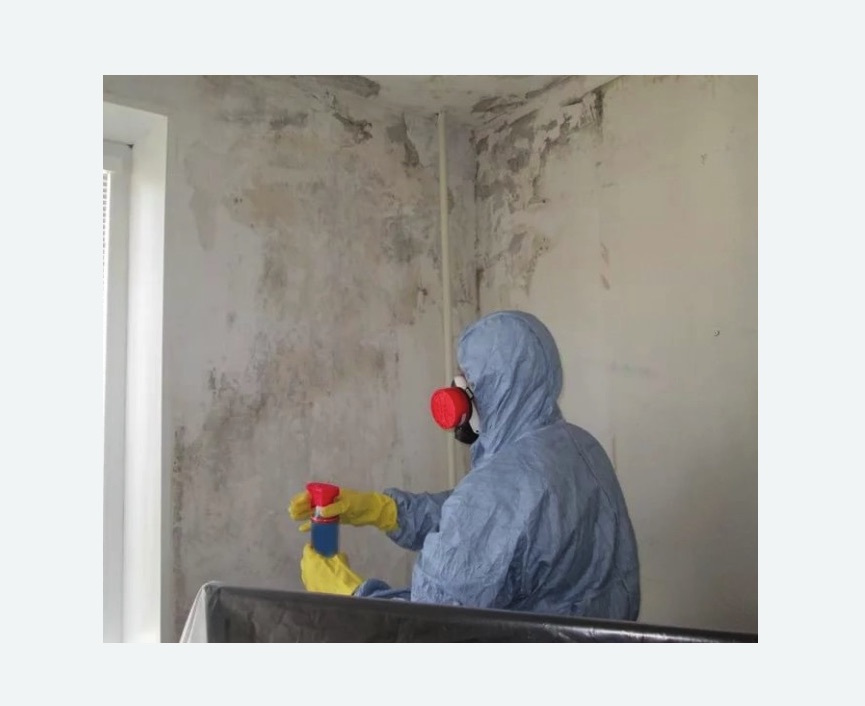 Удаление плесени в квартире в Тобольске