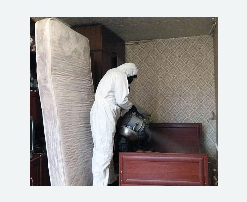 дезинфекция от клопов в Тобольске