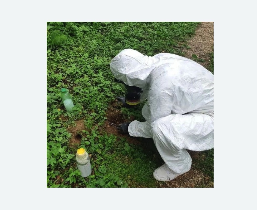 уничтожение кротов на участке в Тобольске