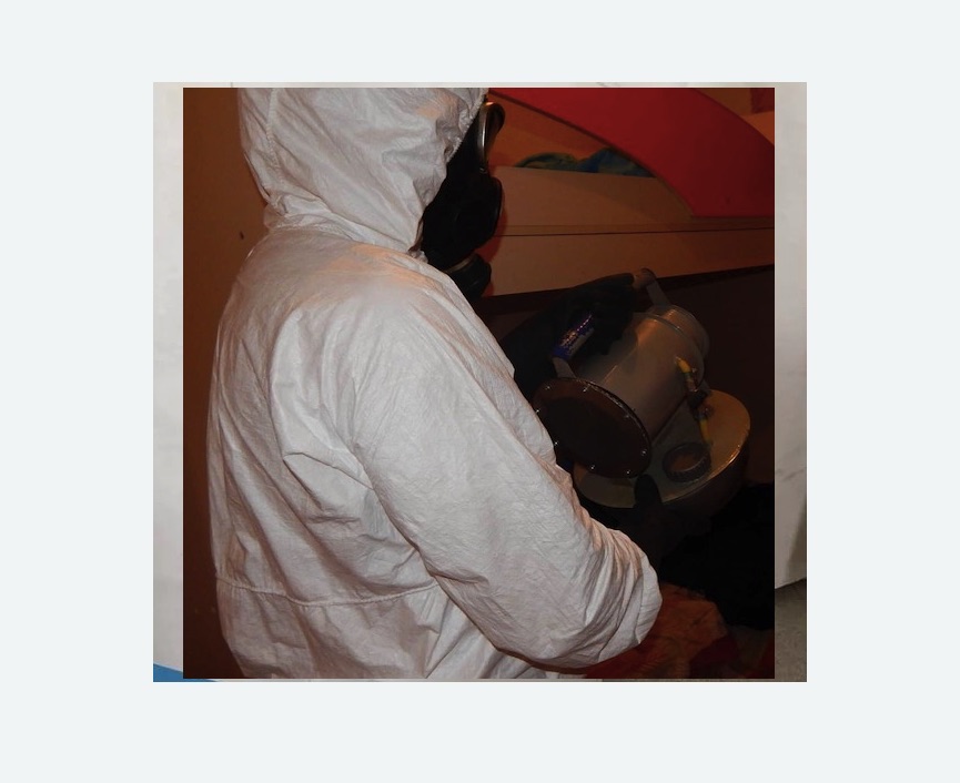 Дезинфекция от муравьев в Тобольске