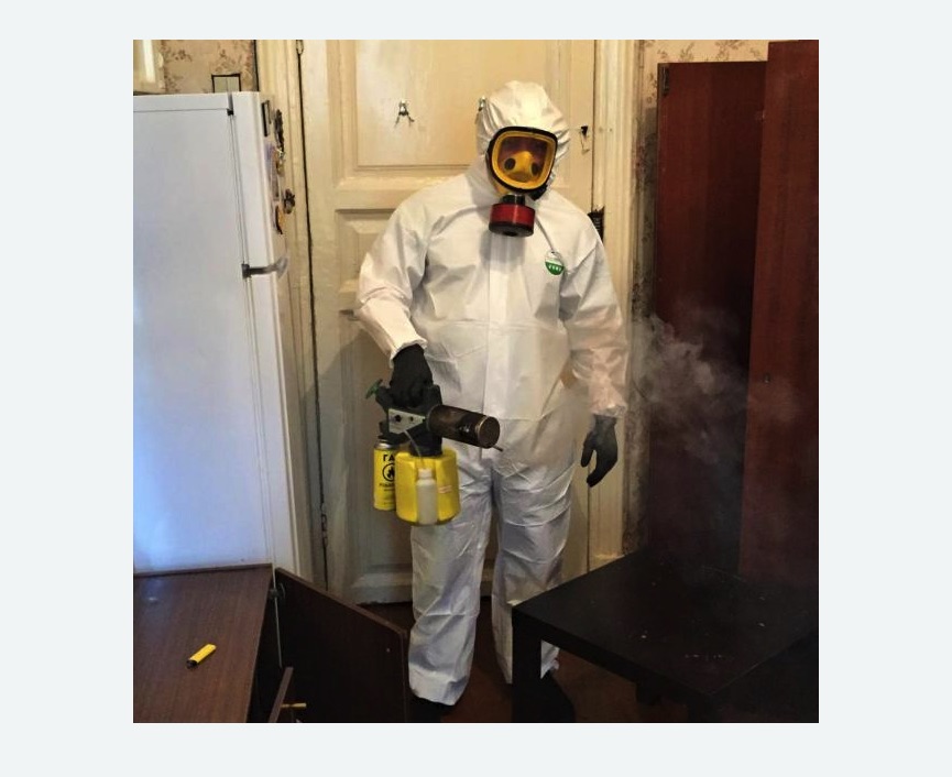 уничтожение муравьев в квартире в Тобольске